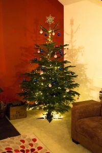 Your own Christmas tree ready for you over the festive period