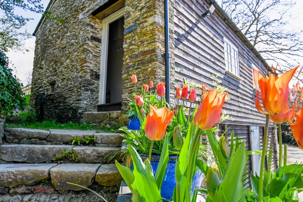 Bulrush Barn