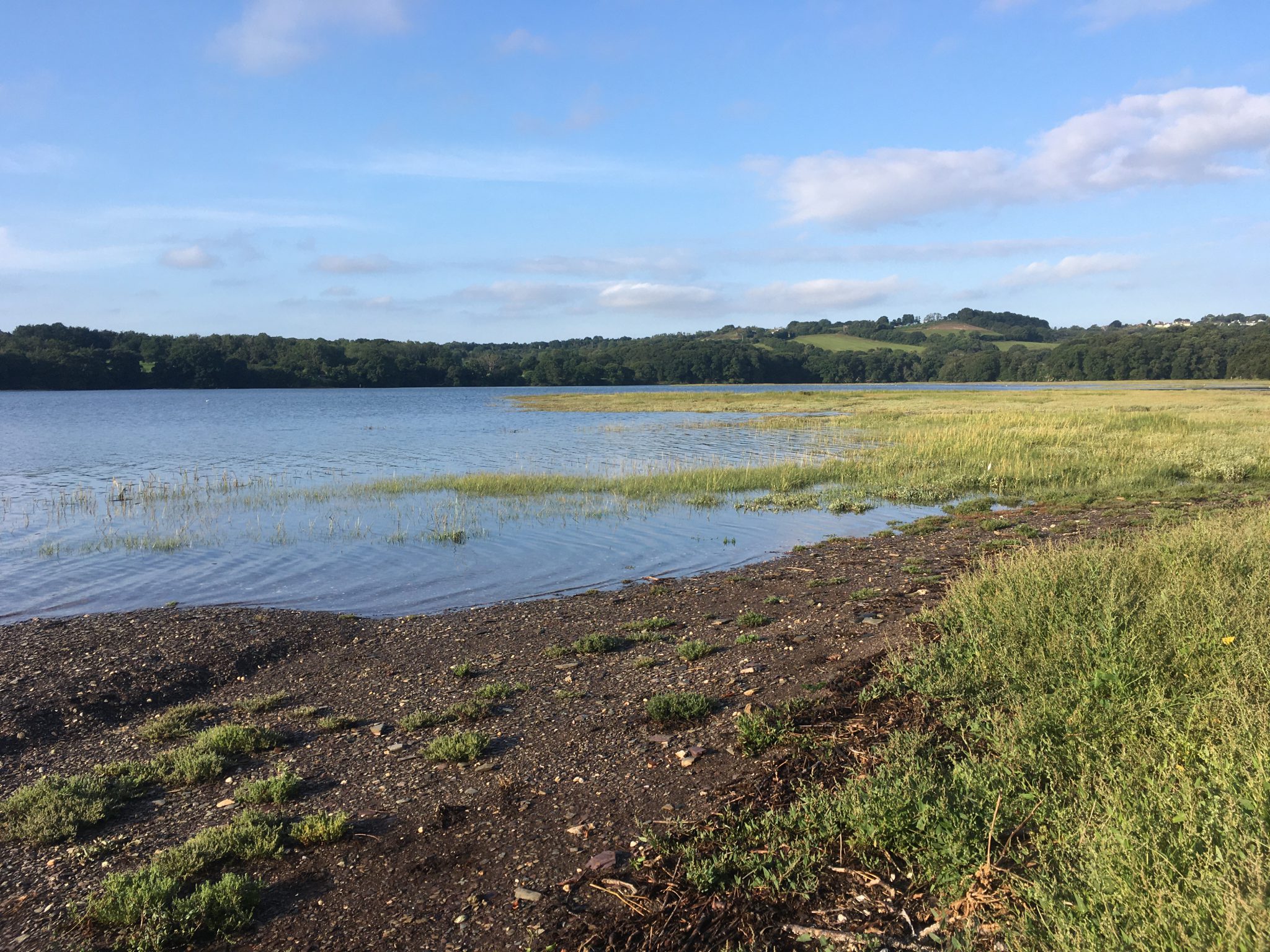 Wildlife Watch - River beach walk and exploration