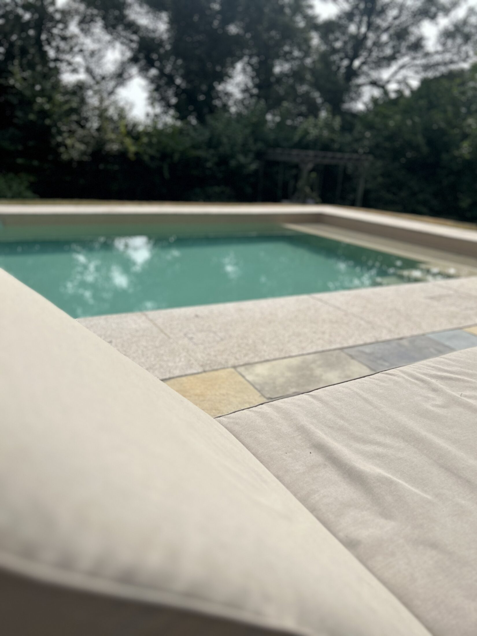 Pool Lounger