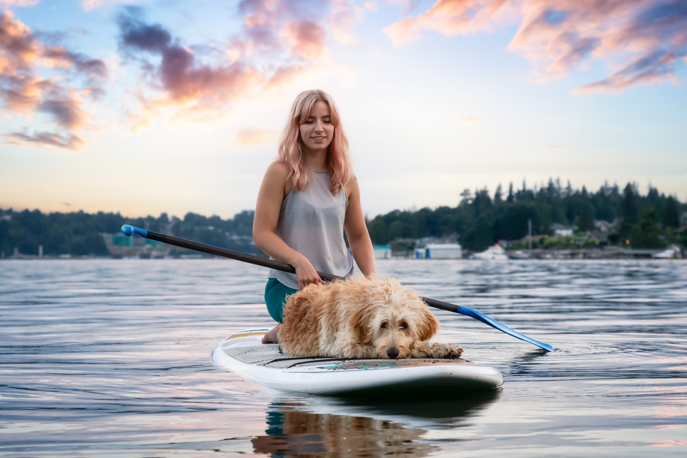 Girl,With,A,Dog,On,A,Paddle,Board,During,A
