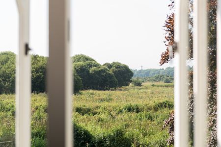 Salt Marsh Nature Reserve