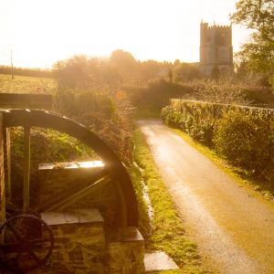 Early morning at the farm