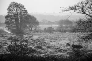 Salt Marsh on a frosty morning