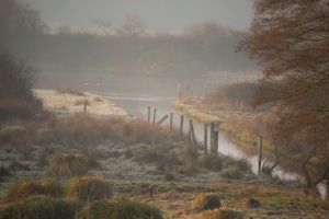 Early morning mist over the Salt Marsh