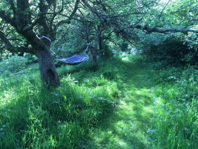 Hammock Overlooking Bridge 5