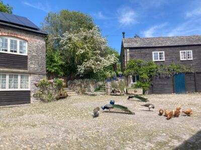 Kingfisher And Bulrush Barns