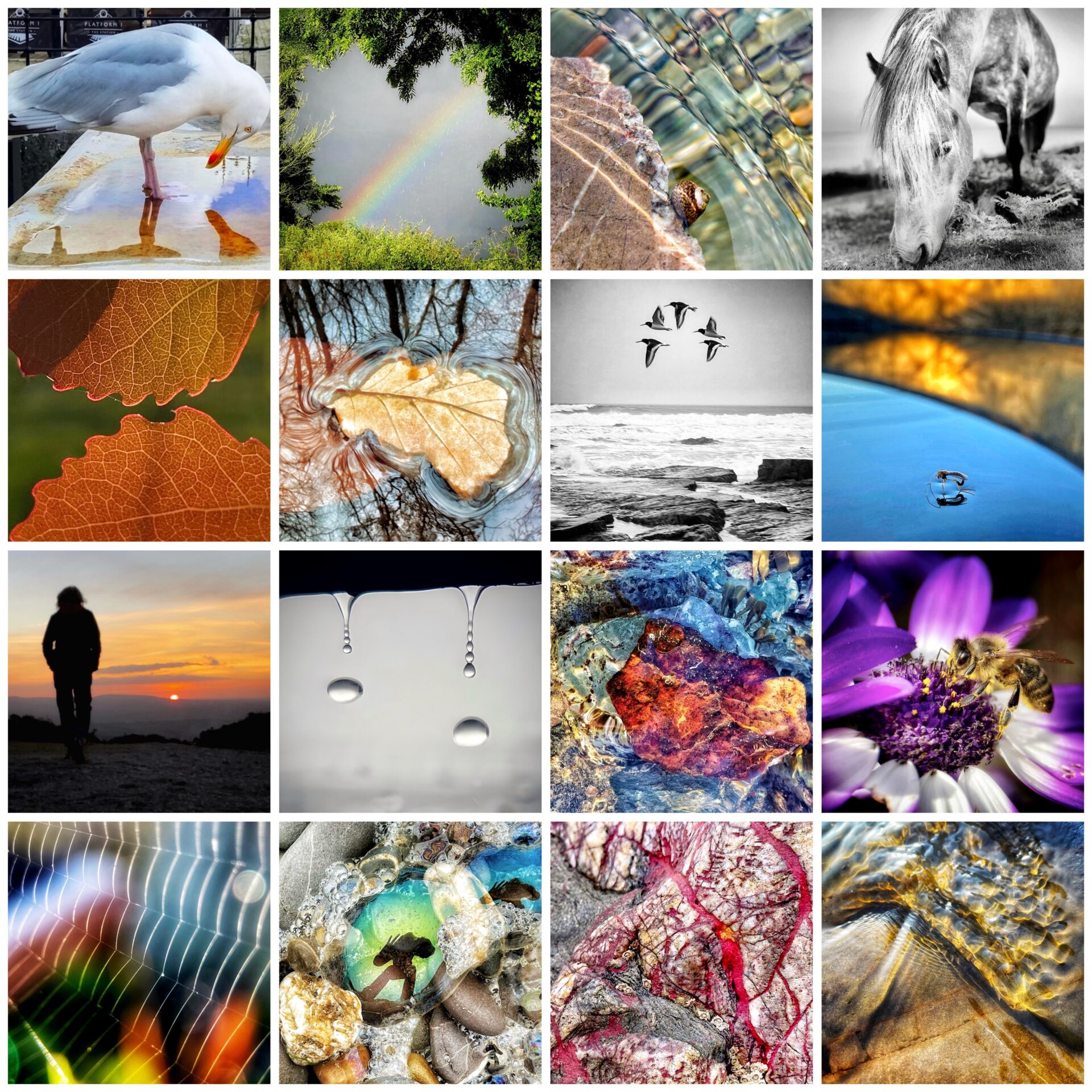 Calm Collage Example Pocketful of Calm – Mindful Photography Experiences - Lower Marsh Farm