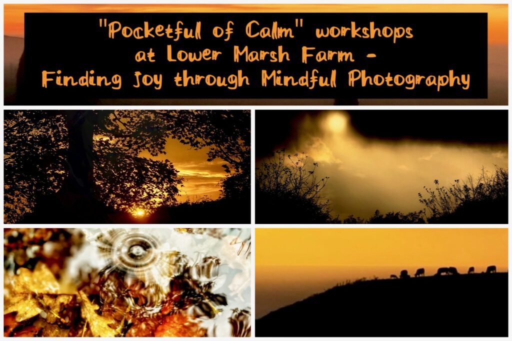 Debbie Geraghty - Pocketful of Calm, mindful photography experiences
