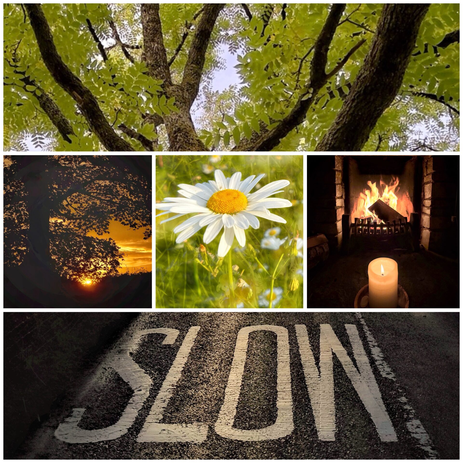 Debbie Geraghty - Pocketful of Calm, mindful photography experiences - slow