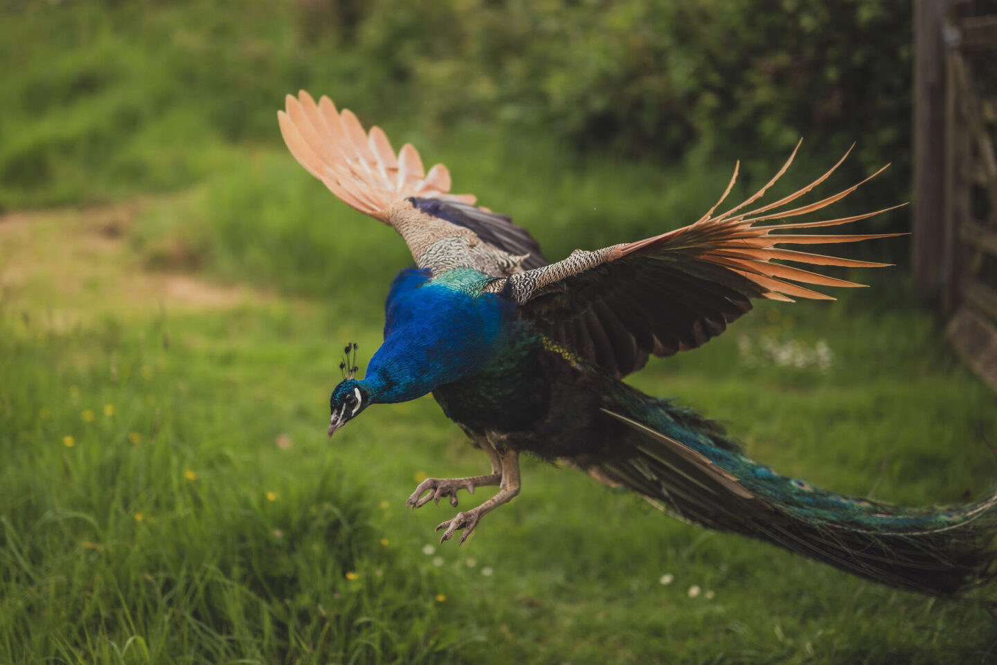 Lower Marsh Farm weddings